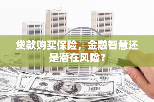 峨眉贷款购买保险，金融智慧还是潜在风险？