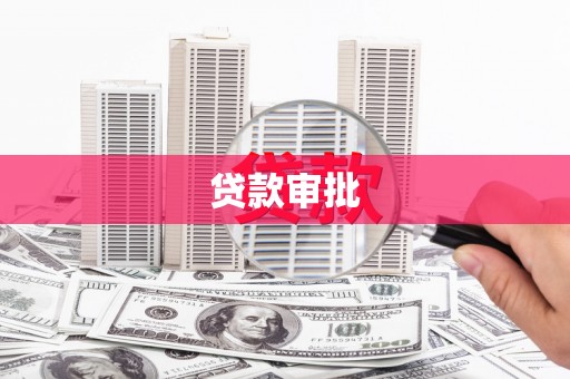 车城贷款审批