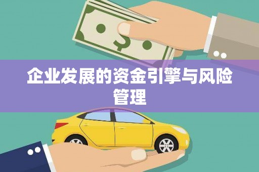 琼结企业发展的资金引擎与风险管理
