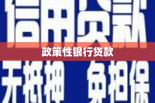 线西政策性银行贷款