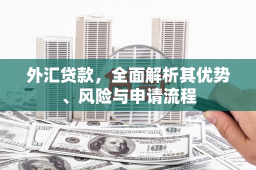 隆回外汇贷款，全面解析其优势、风险与申请流程