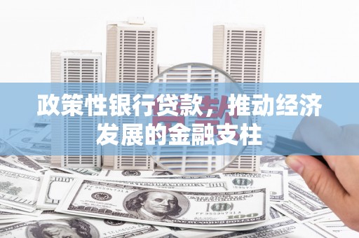 小金政策性银行贷款，推动经济发展的金融支柱