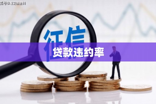 武义贷款违约率