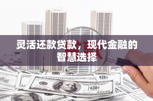 罗定灵活还款贷款，现代金融的智慧选择