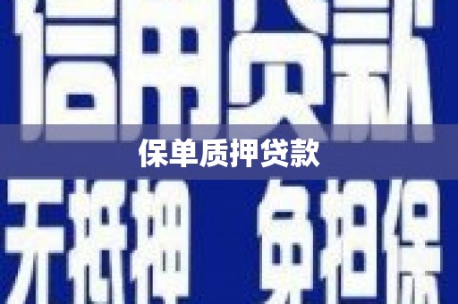 鹿谷保单质押贷款