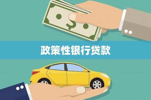 贵南政策性银行贷款