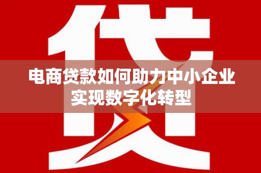 崇左电商贷款如何助力中小企业实现数字化转型