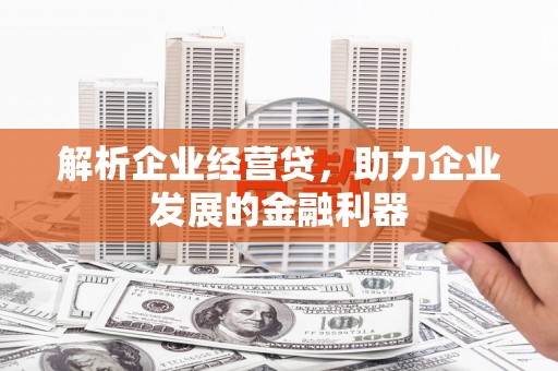 商南解析企业经营贷，助力企业发展的金融利器