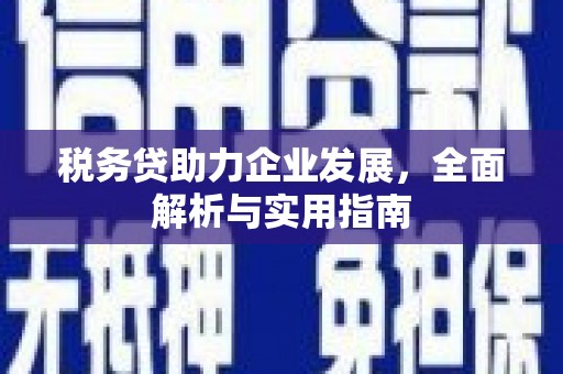 远安税务贷助力企业发展，全面解析与实用指南