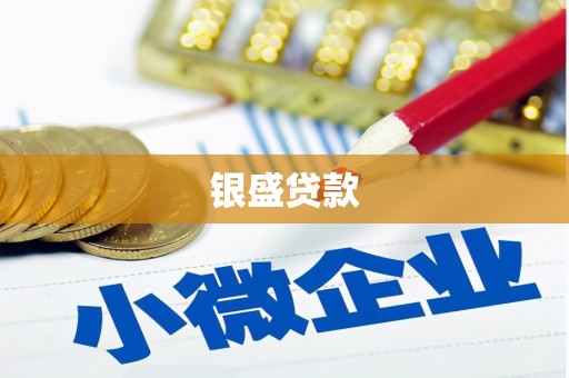 镇原银盛贷款