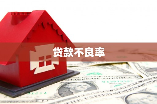 清镇贷款不良率