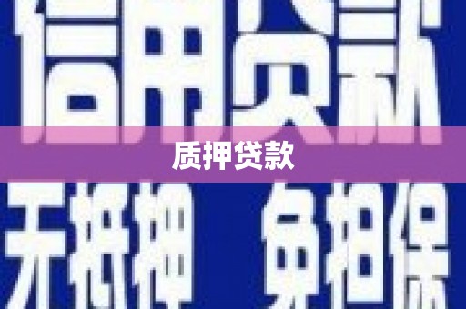 阜阳质押贷款
