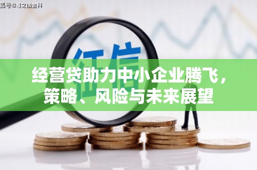 静海经营贷助力中小企业腾飞，策略、风险与未来展望