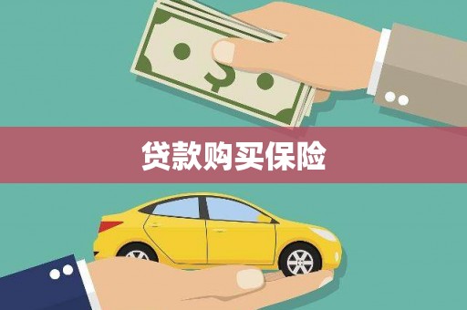 安图贷款购买保险