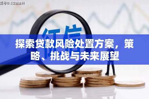 德庆探索贷款风险处置方案，策略、挑战与未来展望