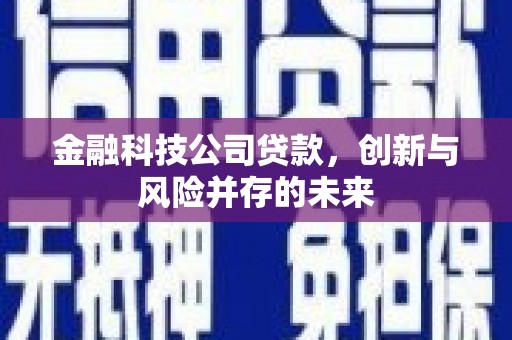 韩城金融科技公司贷款，创新与风险并存的未来