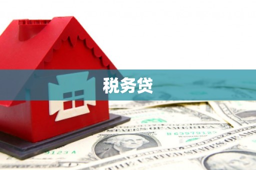 中山税务贷