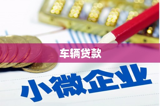岳塘车辆贷款