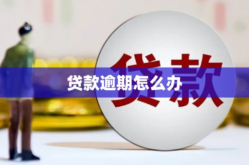 苓雅贷款逾期怎么办