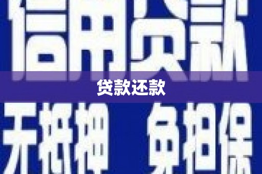 柳东贷款还款