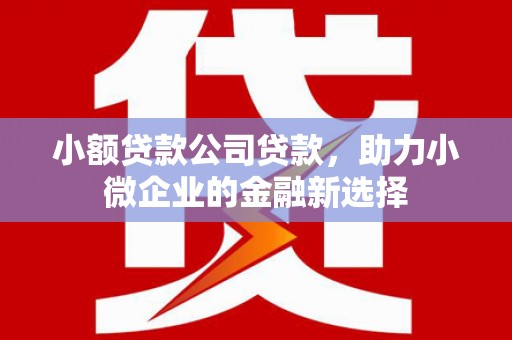 赫山小额贷款公司贷款，助力小微企业的金融新选择