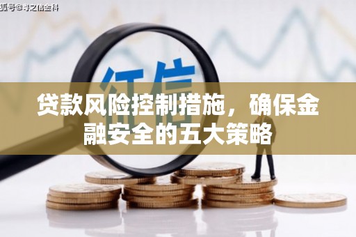 阳春贷款风险控制措施，确保金融安全的五大策略