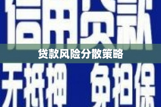 盐埕贷款风险分散策略