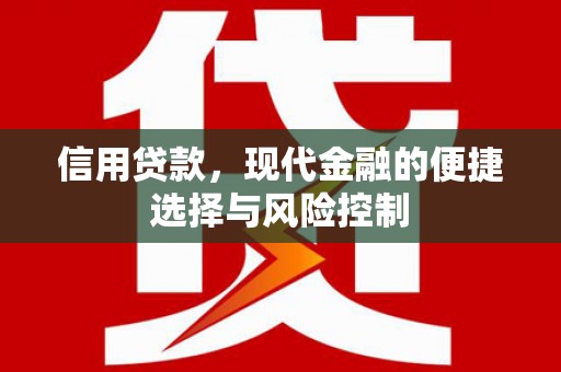 苑里信用贷款，现代金融的便捷选择与风险控制