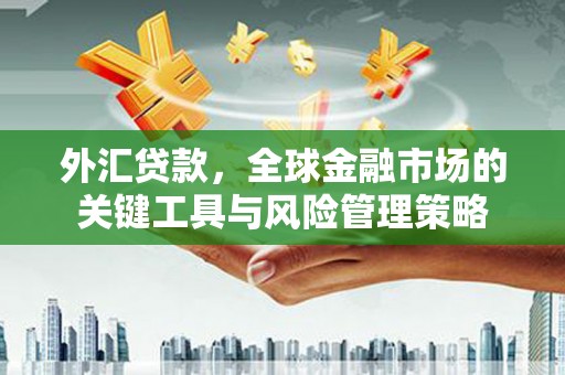 南化外汇贷款，全球金融市场的关键工具与风险管理策略