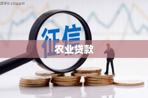 吴忠农业贷款