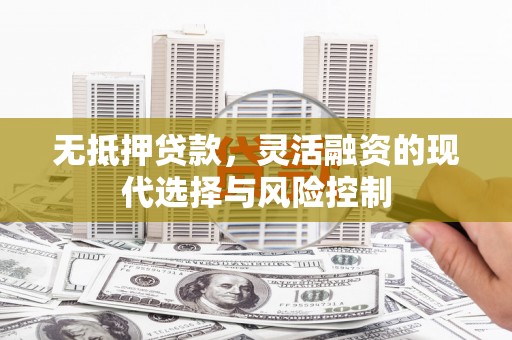 海南无抵押贷款，灵活融资的现代选择与风险控制