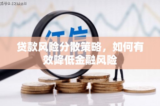 任县贷款风险分散策略，如何有效降低金融风险