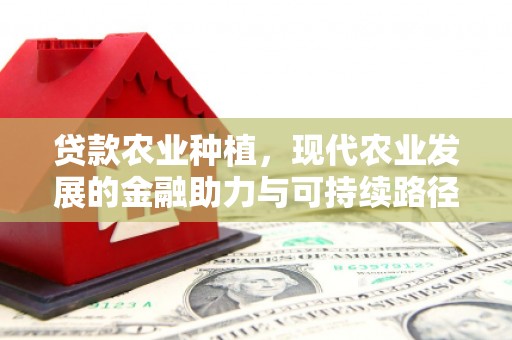 沈北新区贷款农业种植，现代农业发展的金融助力与可持续路径