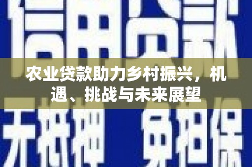 临猗农业贷款助力乡村振兴，机遇、挑战与未来展望