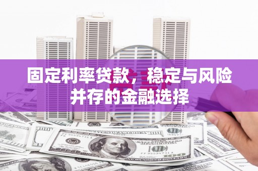 西盟固定利率贷款，稳定与风险并存的金融选择
