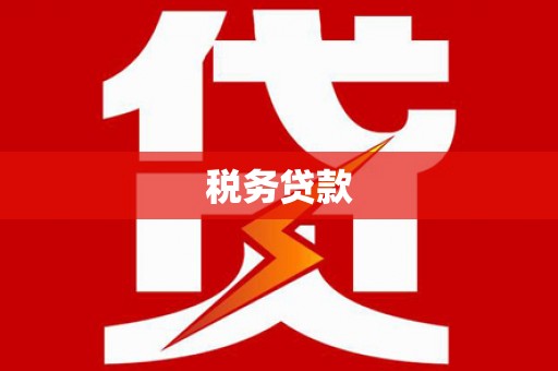 琼中税务贷款