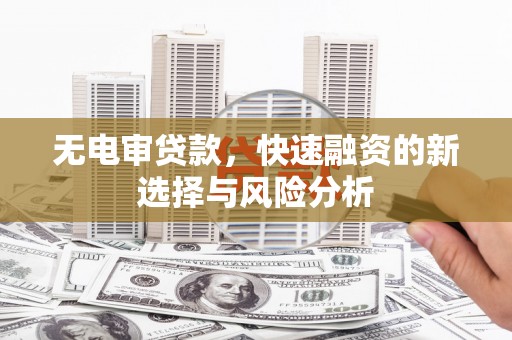 龙湾无电审贷款，快速融资的新选择与风险分析