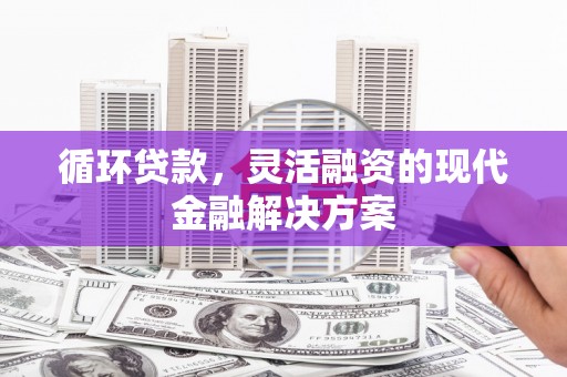 玉环循环贷款，灵活融资的现代金融解决方案