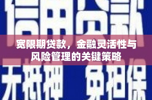 泾阳宽限期贷款，金融灵活性与风险管理的关键策略
