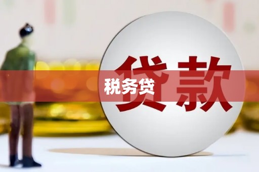 海陵税务贷