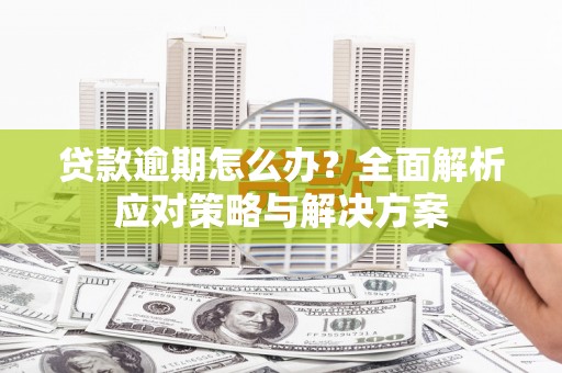 绥滨贷款逾期怎么办？全面解析应对策略与解决方案