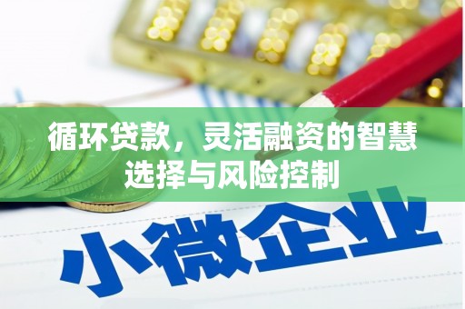 枋山循环贷款，灵活融资的智慧选择与风险控制