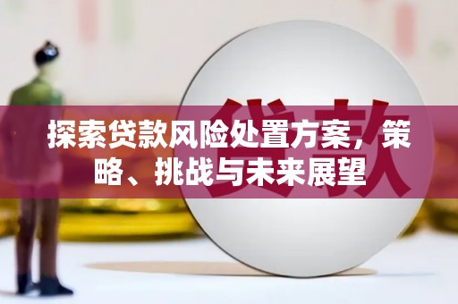 镇安探索贷款风险处置方案，策略、挑战与未来展望