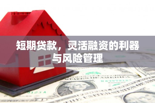 横峰短期贷款，灵活融资的利器与风险管理