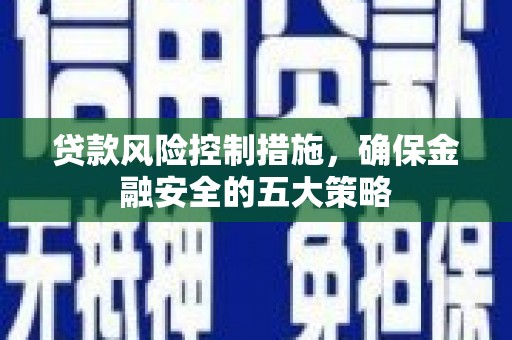 兰西贷款风险控制措施，确保金融安全的五大策略