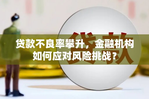 随州贷款不良率攀升，金融机构如何应对风险挑战？