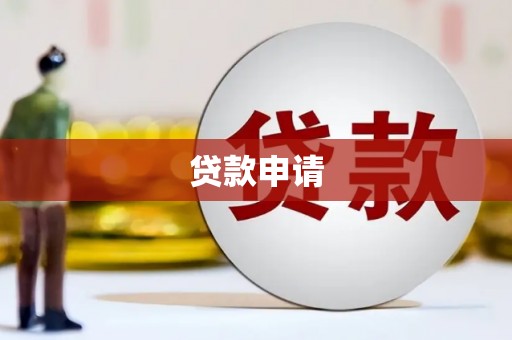 怀仁贷款申请