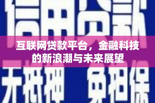 海兴互联网贷款平台，金融科技的新浪潮与未来展望