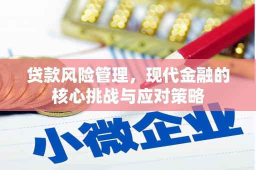 洞口贷款风险管理，现代金融的核心挑战与应对策略