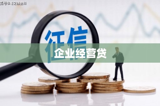 公安企业经营贷